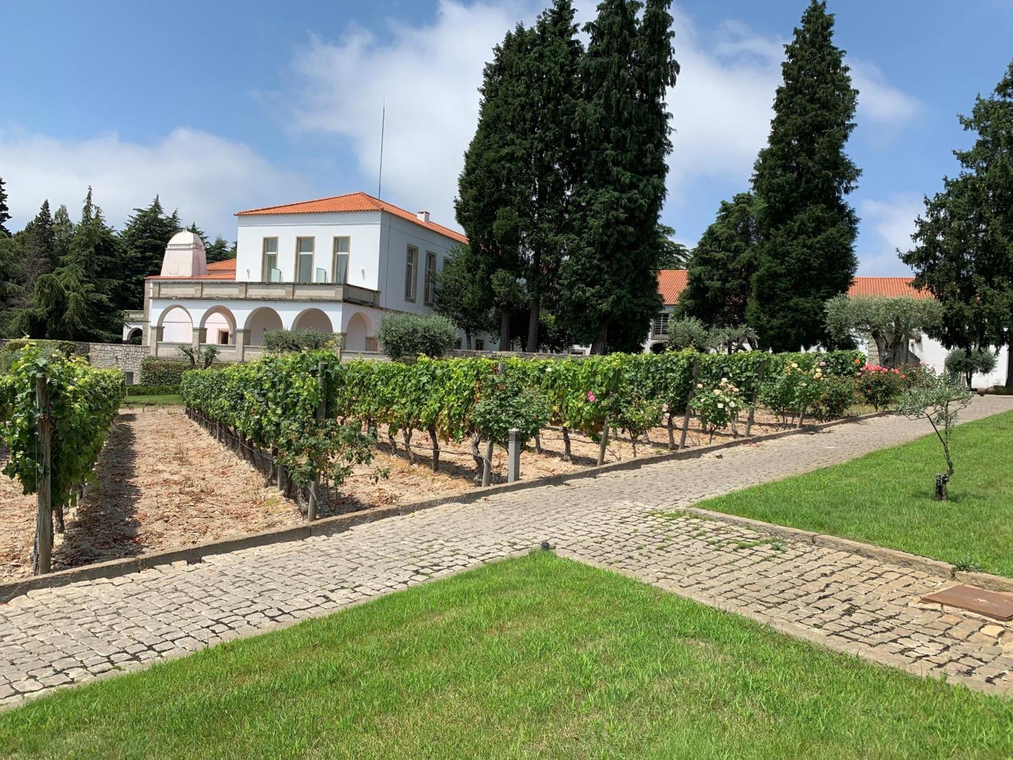 Flag Hotel Convento Do Desagravo Oliveira do Hospital Exterior photo